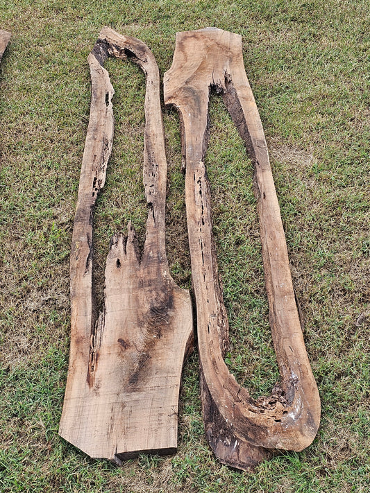 Black Walnut Slabs