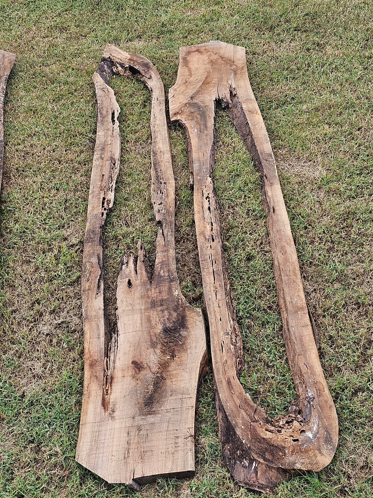 Black Walnut Slabs