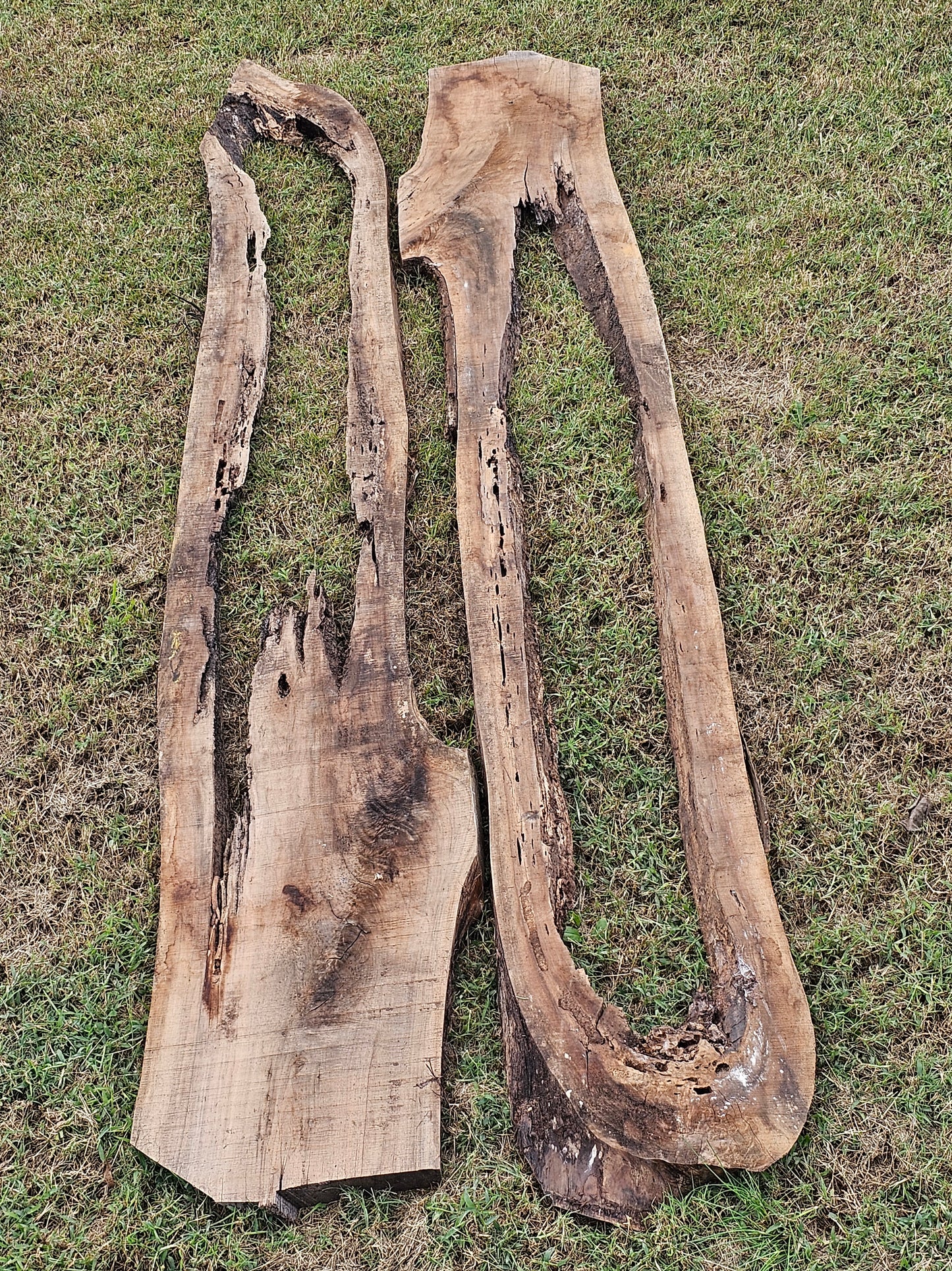 Black Walnut Slabs