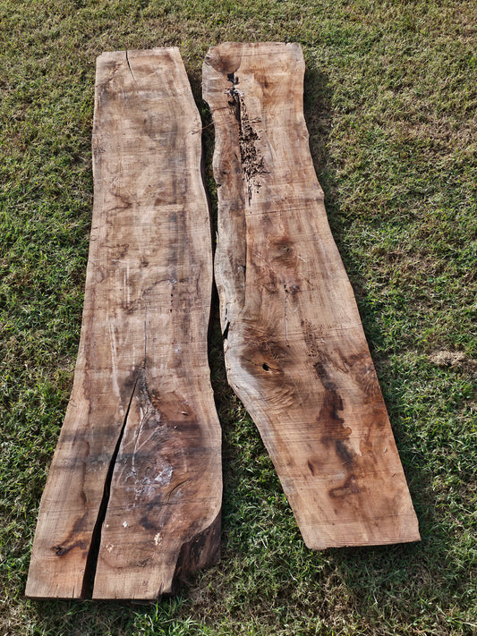 Black Walnut Slab