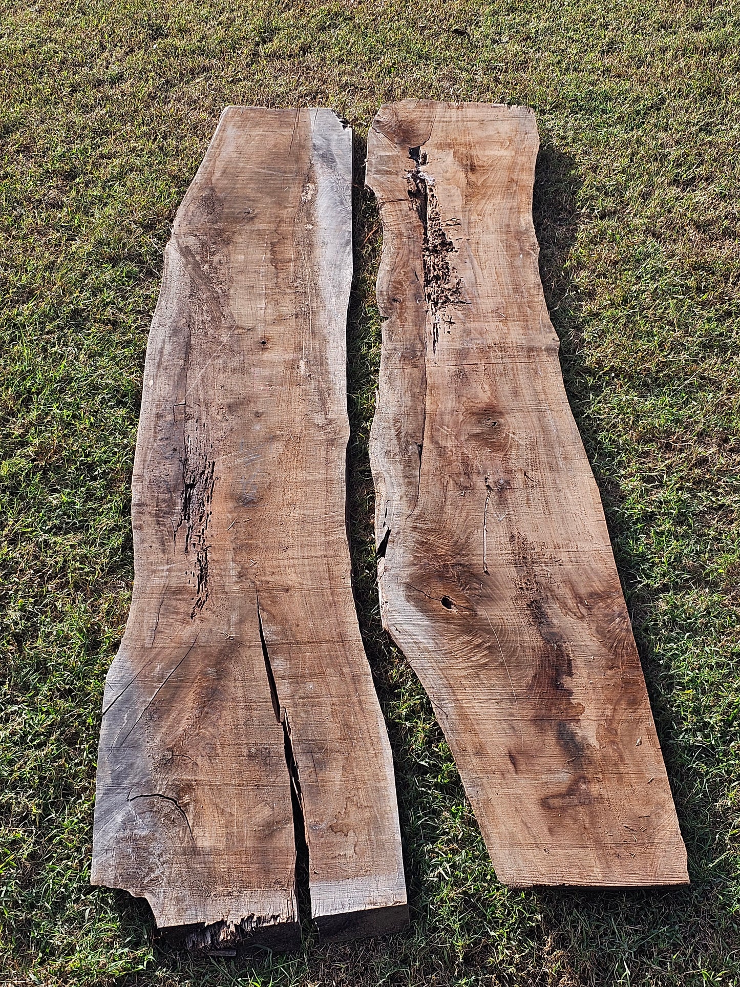 Black Walnut Slab