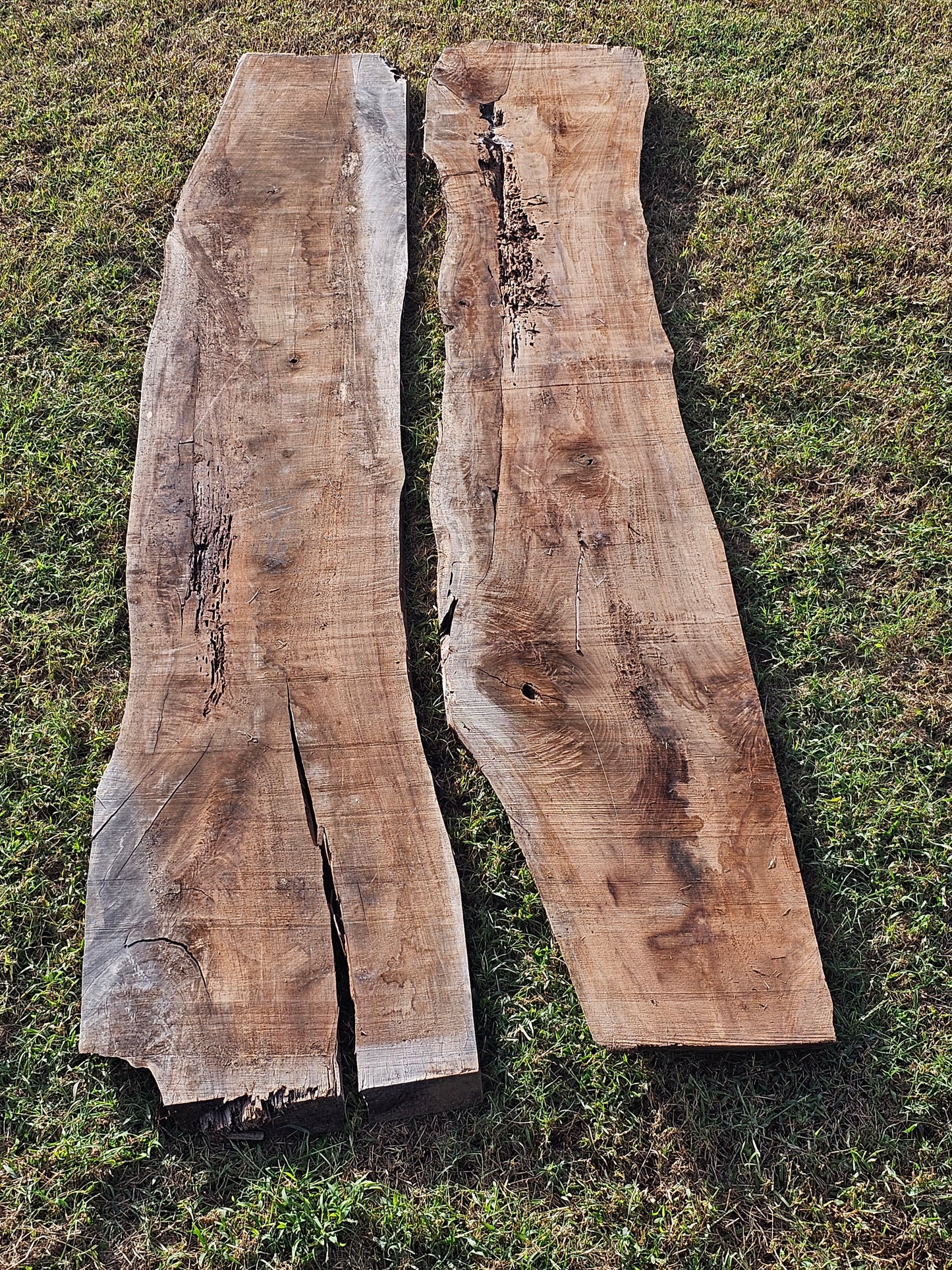 Black Walnut Slab