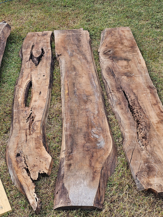 Black Walnut Miscellaneous "A"