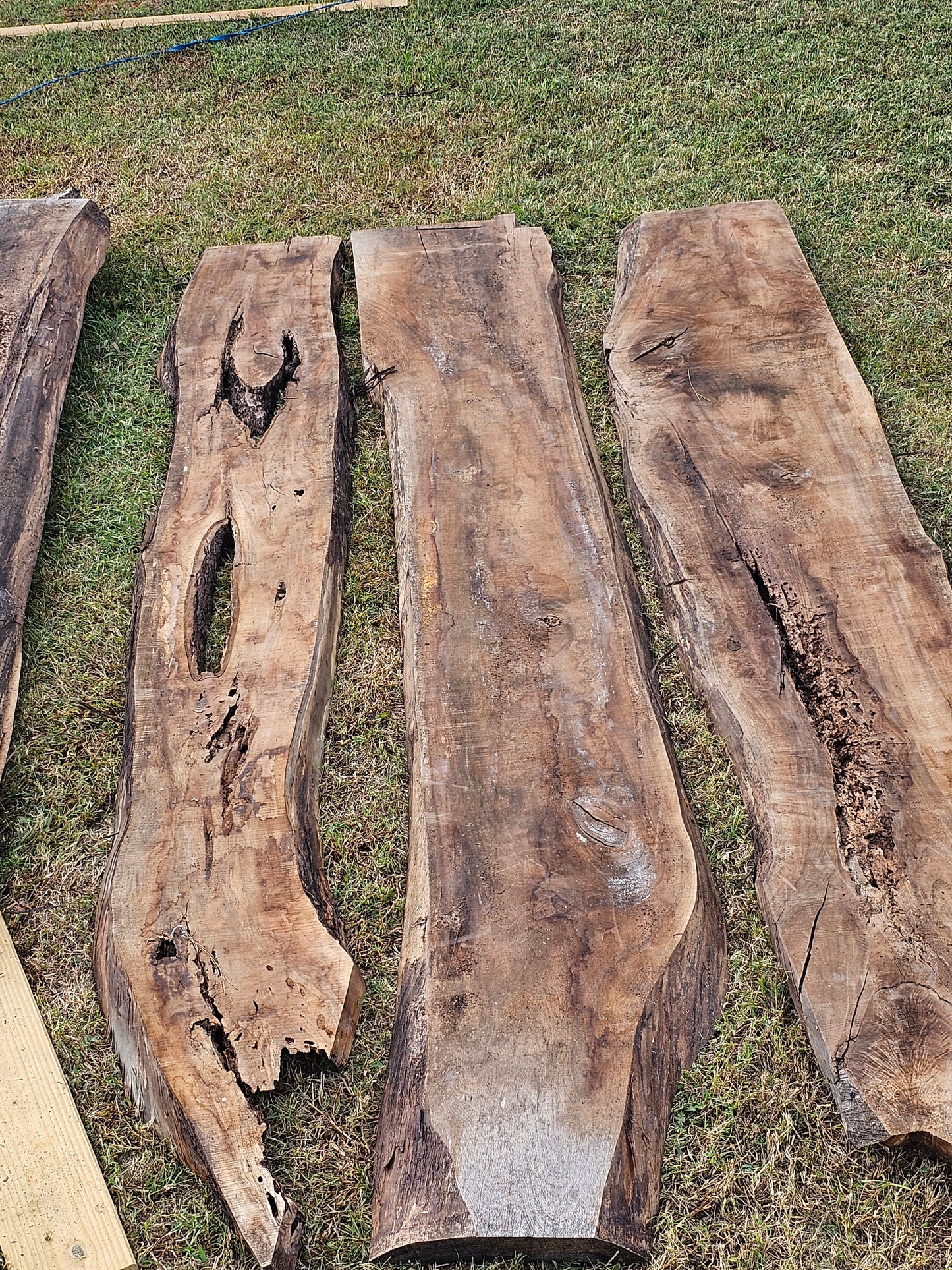 Black Walnut Miscellaneous "A"