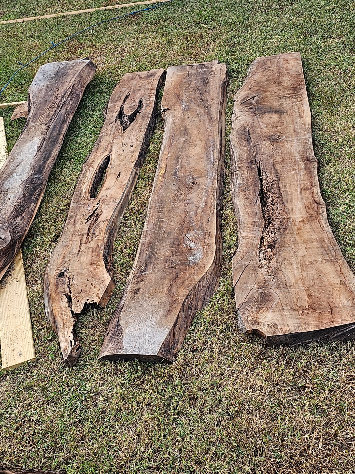 Black Walnut Miscellaneous "A"