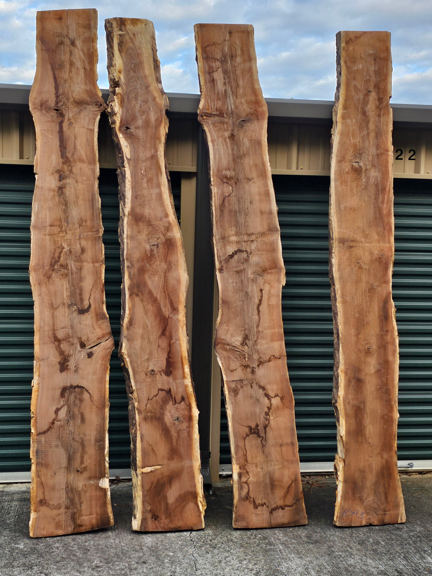 Black Walnut Slabs