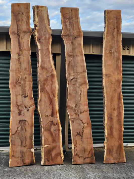 Black Walnut Slabs