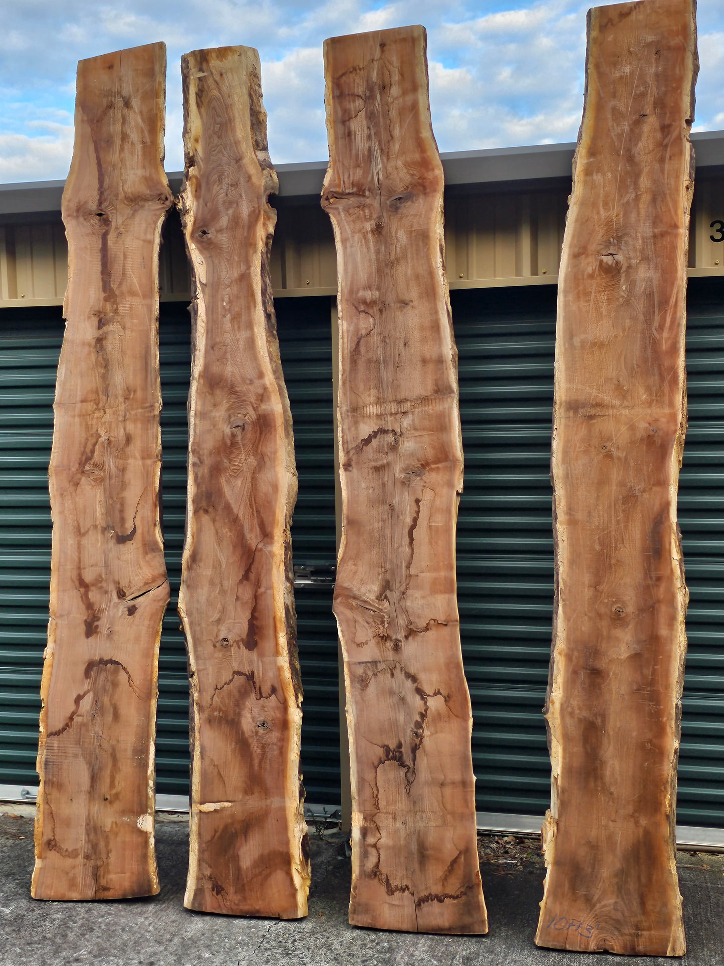 Black Walnut Slabs