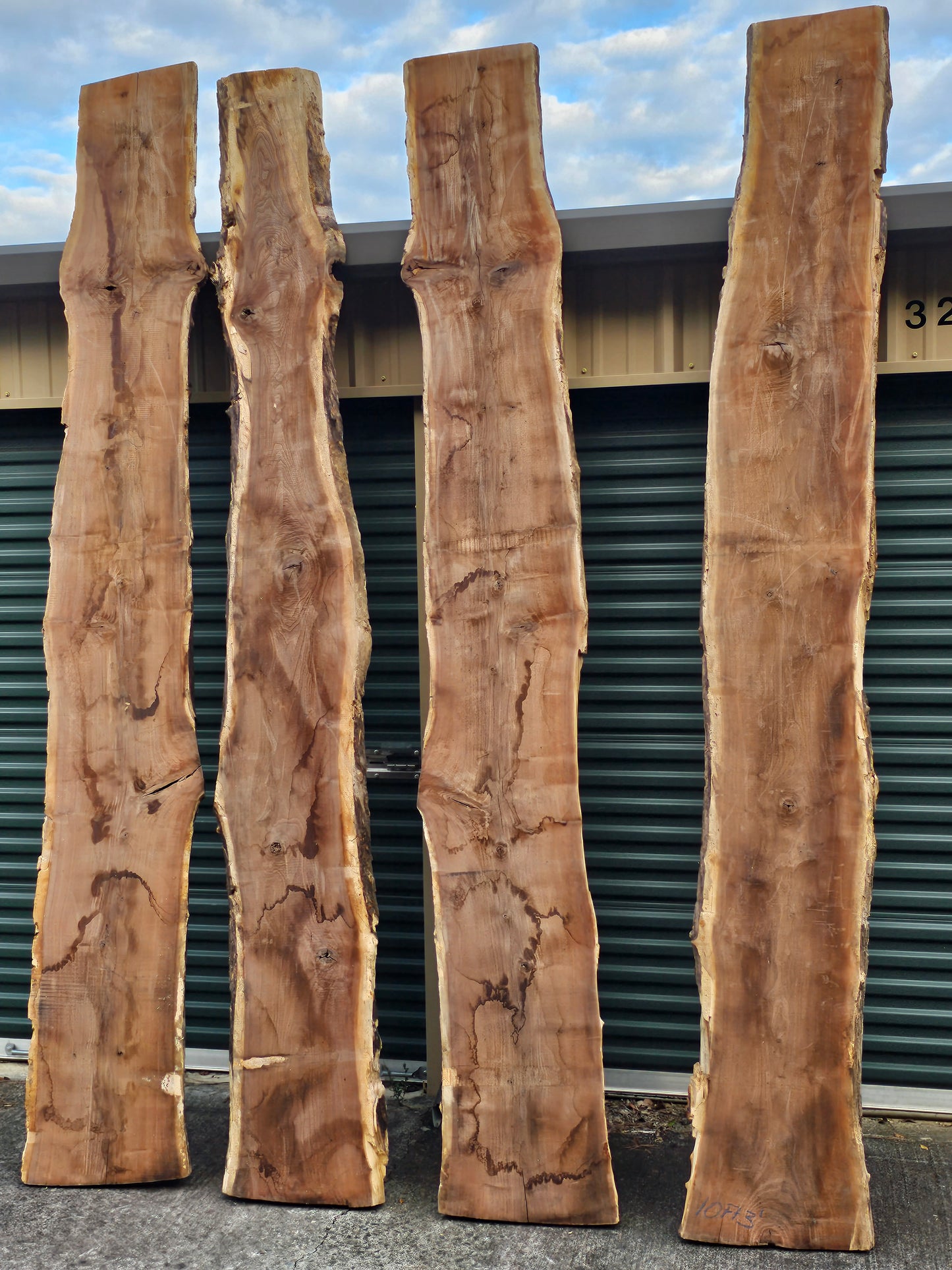 Black Walnut Slabs