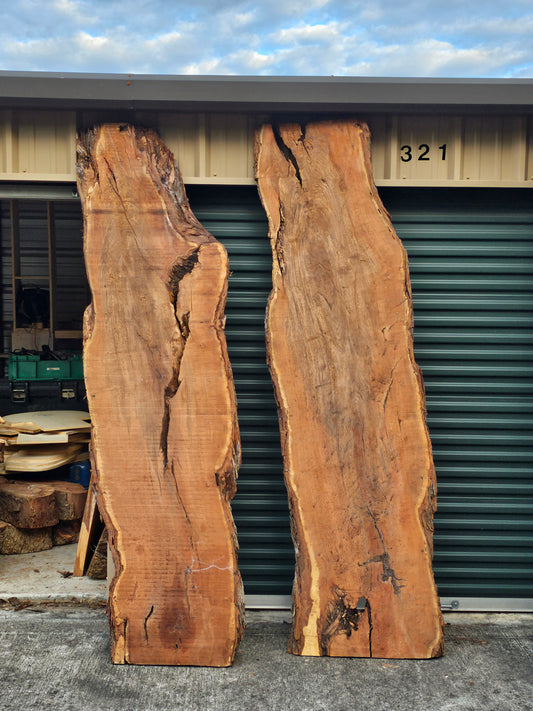 Mesquite Slabs