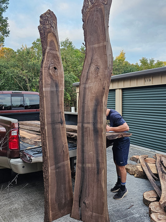 Black Walnut