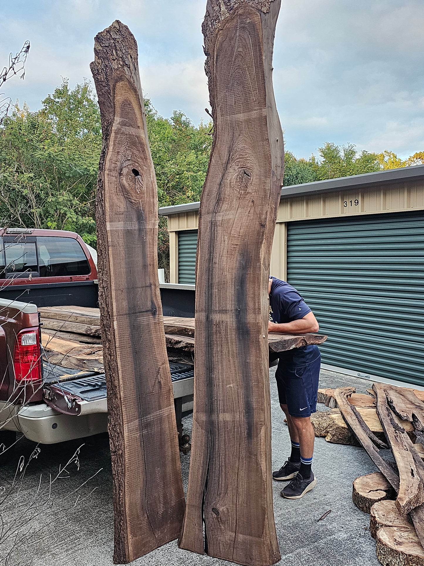 Black Walnut
