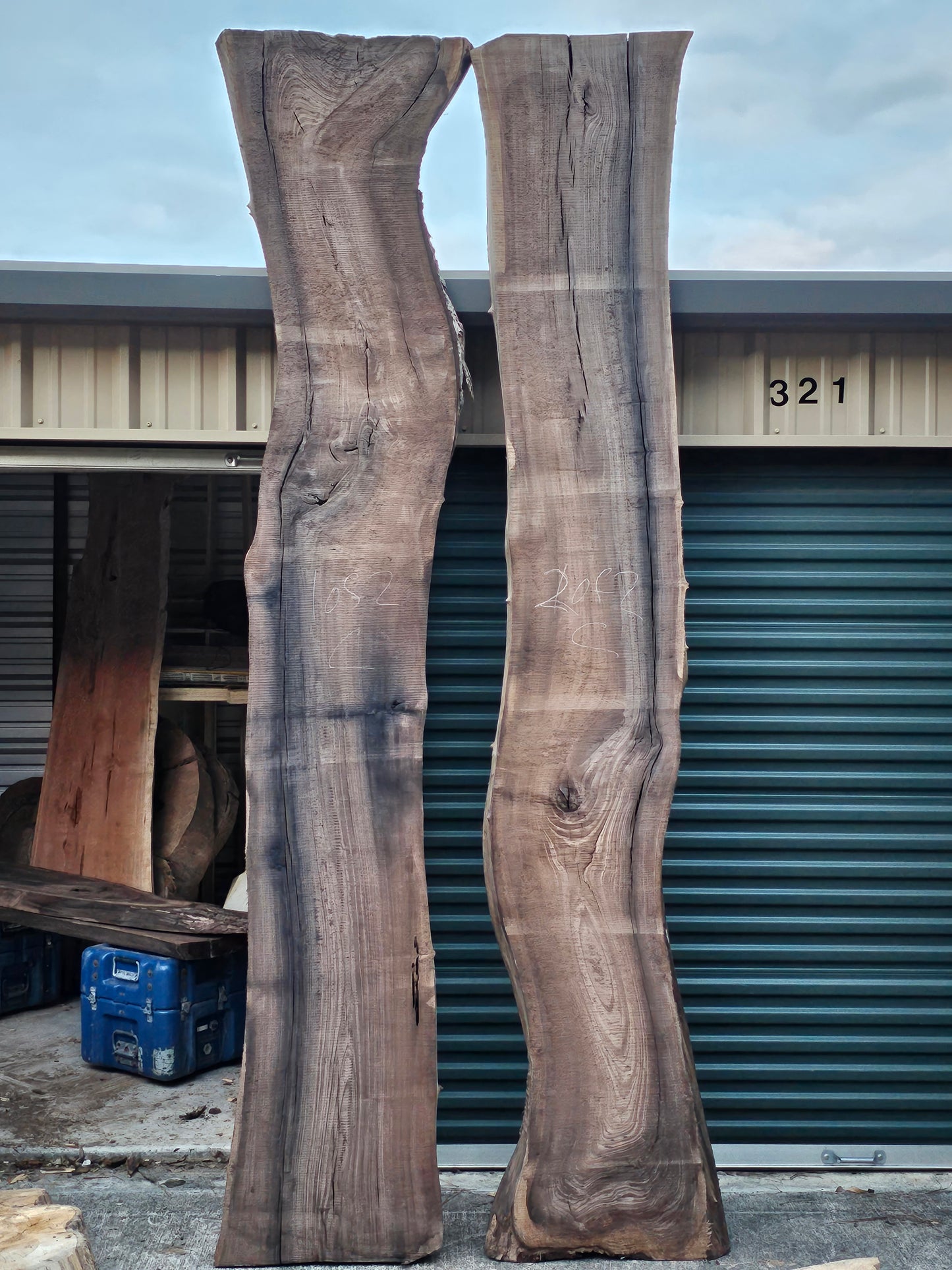Black Walnut