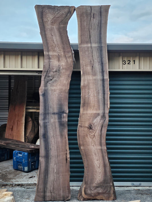 Black Walnut