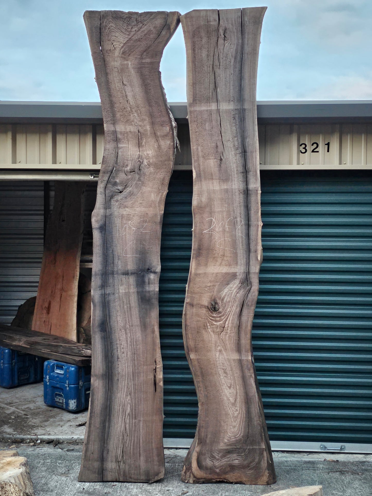 Black Walnut