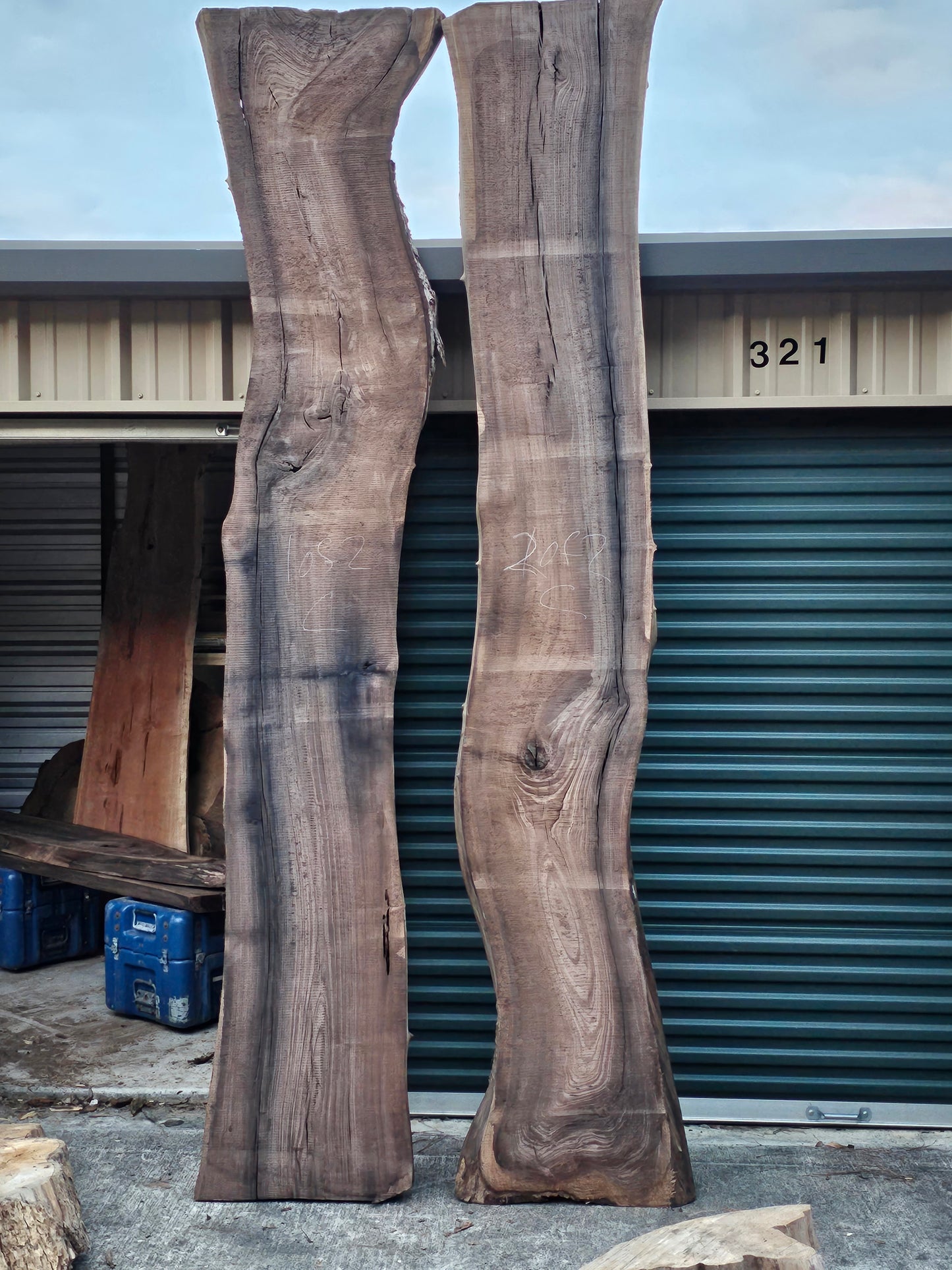 Black Walnut